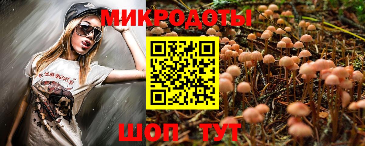 Псилоцибиновые грибы Psilocybe Прохладный