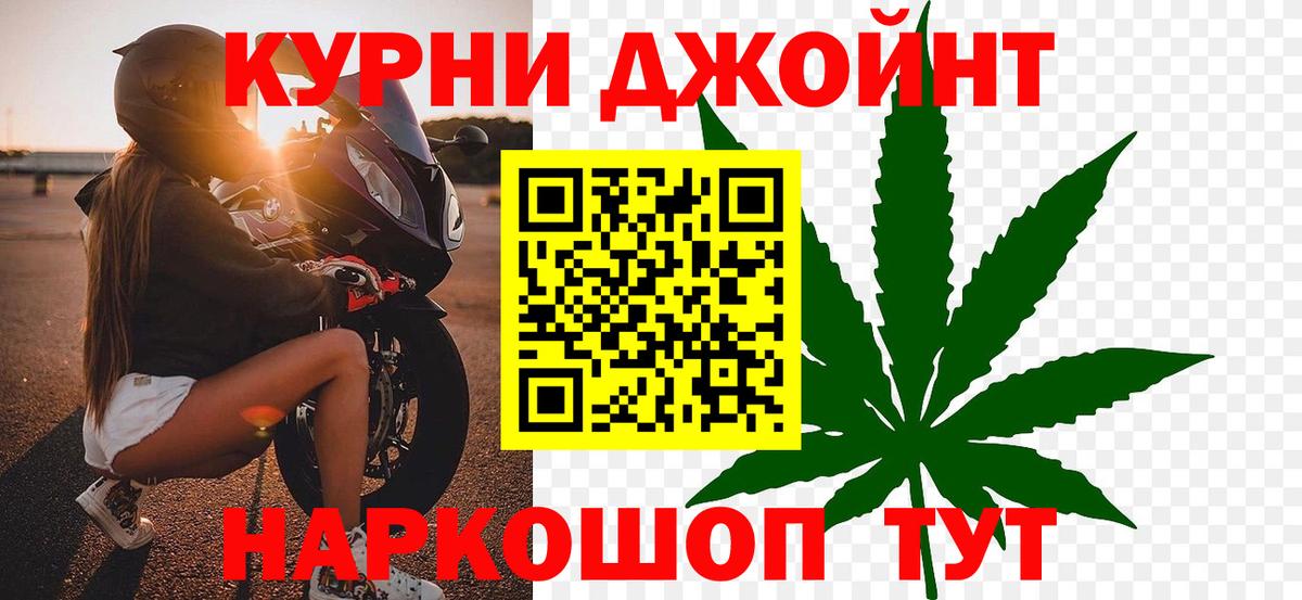 Бошки марихуана гибрид Прохладный